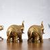 Buy Brass Superfine Elephant Pair 6" - Budhshiv.com