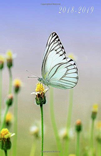 Buy 2018 - 2019: Pocket Planner 2018-2019 Monthly, Reminders, Notes and ...