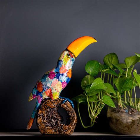 Toucan Splash Design Decor