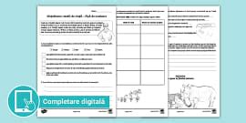 Clasa a IV-a: LLR, Unitatea 8 - Fisa de evaluare cu descriptori de