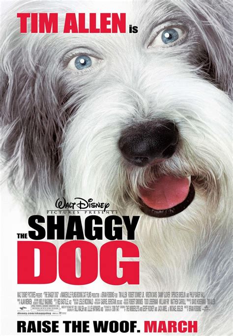 The Shaggy Dog (#1 of 2): Extra Large Movie Poster Image - IMP Awards