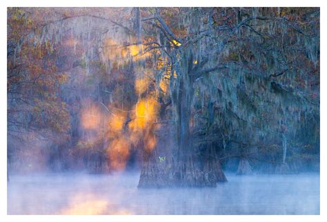 Embers Beneath the Moss | Big Cypress Bayou, Texas | Joseph Rossbach ...