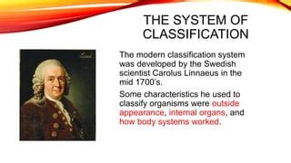 Image result for Classification System Latin