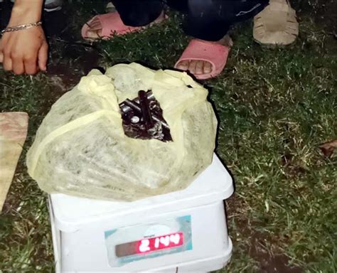 कुल्लू : गड़सा वैली में 2 किलो 144 ग्राम चरस के साथ दबोचा तस्कर ...