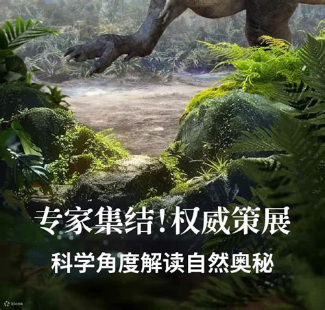 Meet the Museum (Hangzhou) - Dinosaur Fossils Special Exhibition ...