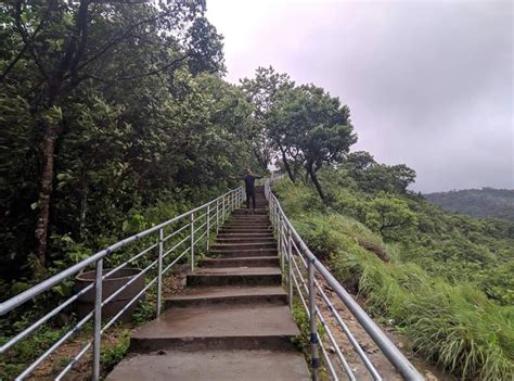 Mallalli Falls in Coorg: Nature's Majestic Masterpiece Unveiled - The ...