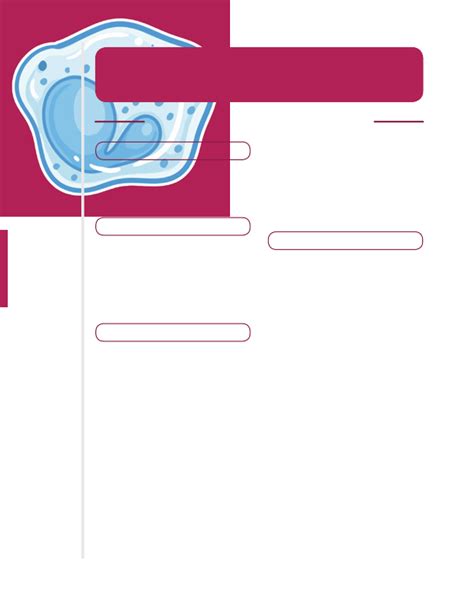 Image result for Low Complement