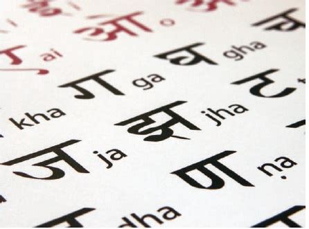 Image result for Language Types