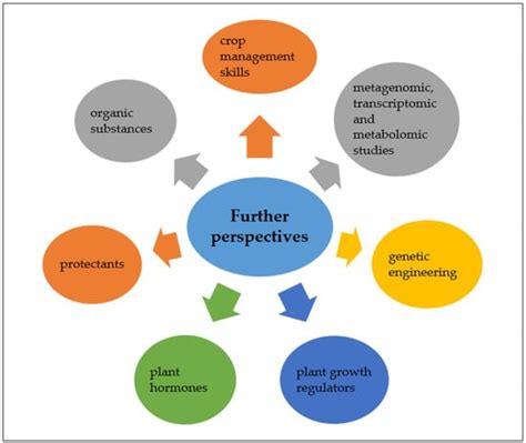 The Impact of Drought Stress on Soil Microbial Community, Enzyme ...
