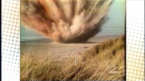 Exploding Whale Australia 的图像结果