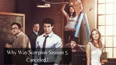 Why Was Scorpion Season 5 Canceled? Uncovering The True Reasons – Gent ...