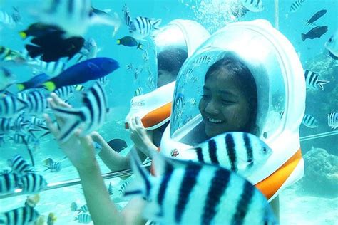 Bali Sea Walker in Nusa Dua Beach with Lunch 2025 - Kuta - Viator