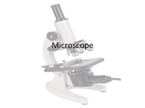 Image result for Video Microscope Play