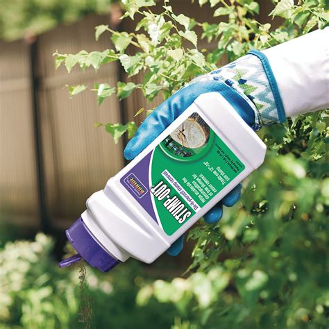 Bonide Stump-Out | Plant Addicts