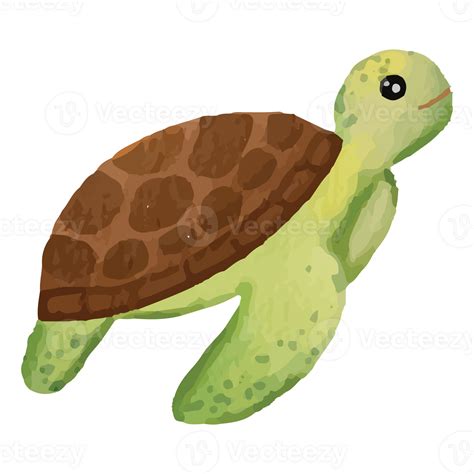 Turtle Under The Sea Clip art Element Transparent Background 24400463 PNG