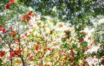 Best 7 Days 6 Nights Havelock Trip Package | Port Blair, Havelock, Neil ...