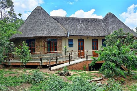 Kampala to Kibale National Park – 14-Day Uganda & Tanzania Ultimate Wildlife Safari