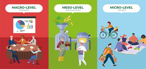 Micro-Meso-Macro levels - PLAN’EAT Project