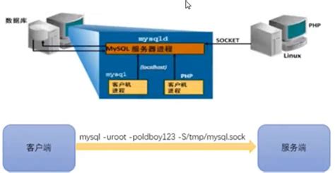 Mysql运维---客户端与服务器模型[数据库教程]-云海天教程