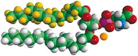 16:0-d31-18:1 PS powder 99 (TLC) Avanti Polar Lipids