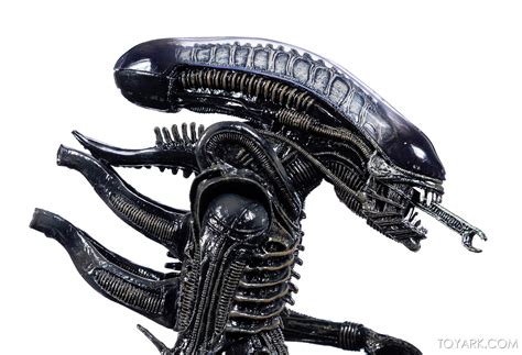 Advanced look at NECA Alien 40th Anniversary Ultimate Big Chap Alien ...