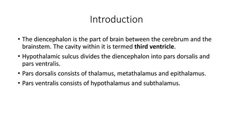 Antomy of Thalamus and hypothalamus | PDF