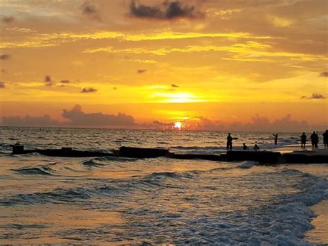SHORELINE ISLAND RESORT (Madeira Beach) - Motel Reviews, Photos, Rate ...