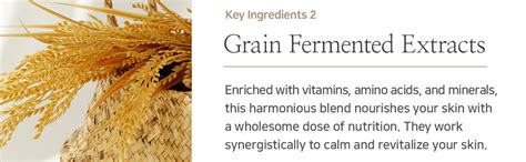 Beauty of Joseon Relief Sun Rice + Probiotics 50 ml SPF 50+ PA ...