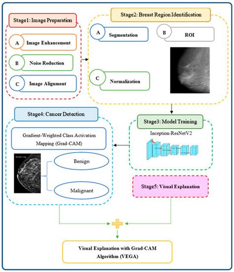 Grad-CAM Enabled Breast Cancer Classification with a 3D Inception ...