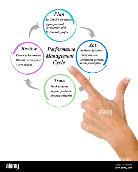 Six Components of Performance Management 的图像结果