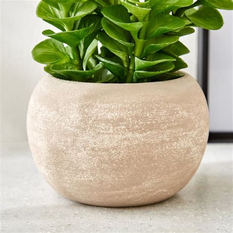 Buy Gloria Bond Artificial Plant in Paper Mache Pot from Home Centre at ...