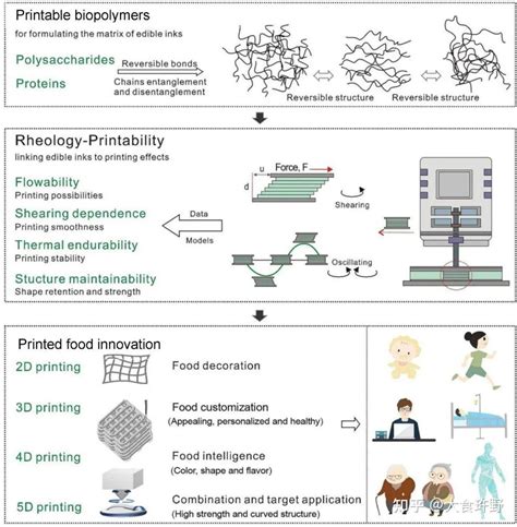 2D/3D/4D 打印食用墨水的流变学及其在未来 5D/6D 打印中的作用 - 知乎
