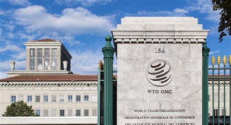 WTO Appellate Body crisis: Peter Van den Bossche addresses public hearing