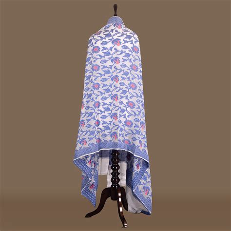 Resham Jaal White Banarasi Handwoven Chiffon Dupatta – Warp 'n Weft