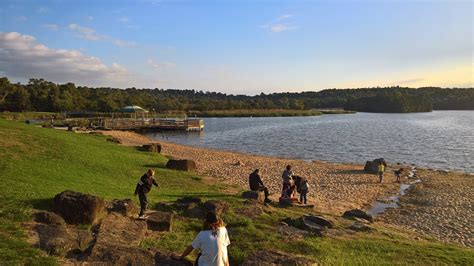 THE 10 BEST Places to Visit in Lilydale (2026) - Must-See Attractions