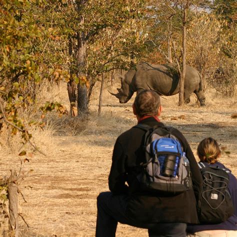 LIVINGSTONE RHINO SAFARIS (2026) All You Need to Know BEFORE You Go ...