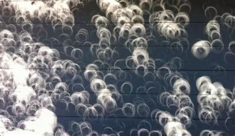 How teachers can use shadows and reflections to link everyday ...