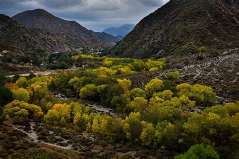 Tujunga Canyon Gets Big – California Fall Color