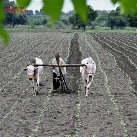 Union Budget 2024-25: Focus on Agriculture and Allied Sectors