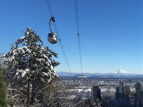 Discover Events & Things To Do Around Portland Aerial Tram | AllEvents