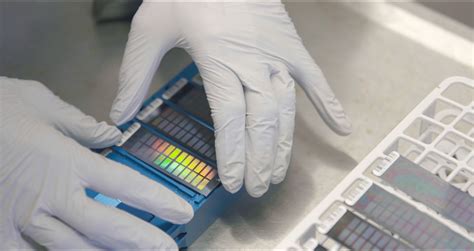 Image result for DNA Test Example