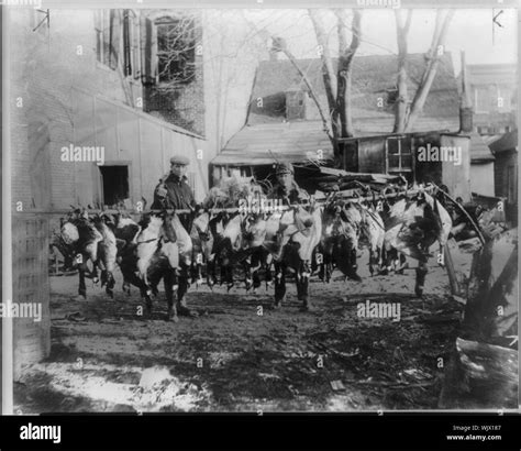 North carolina nature Black and White Stock Photos & Images - Alamy