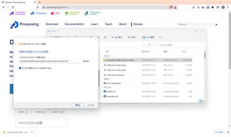 Image result for Processing Install