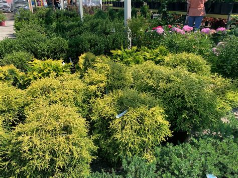 The Hanover Plant Farm Nursery and Garden Center – Hanover Vegetable Farm