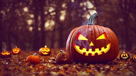 Image result for Video Loop Free