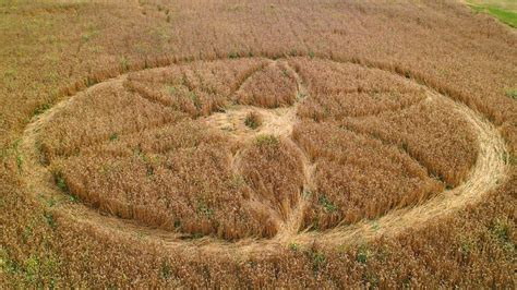 Alien DNA Crop Circle 的图像结果