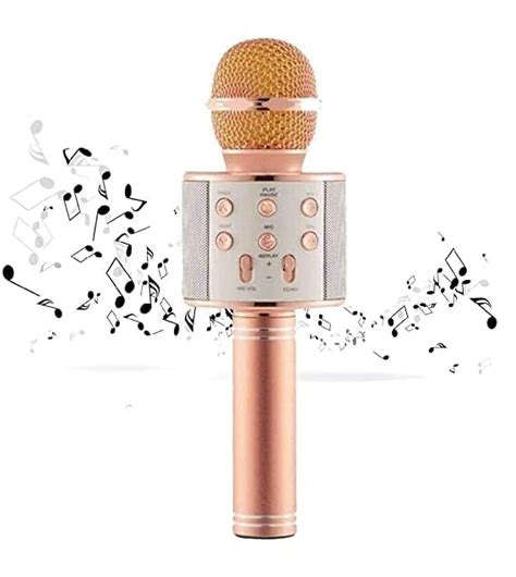 SERAPHIC Handheld Wireless Mike Microphone with Audio Recording Multi ...
