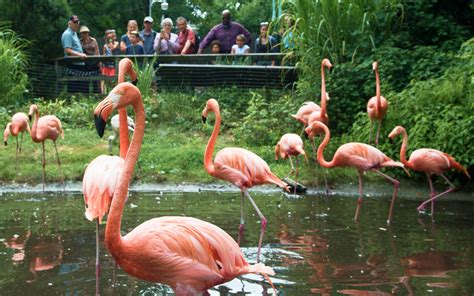 The 10 Biggest Zoos In The United States
