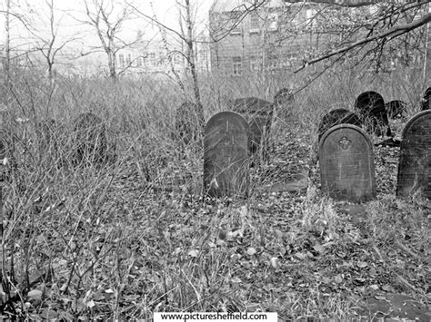 Searching Picture Sheffield