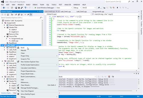 Run Program Visual Studio 的图像结果